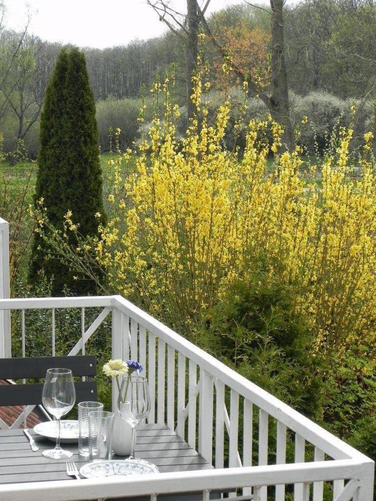 Ferienwohnung-Nils-Holgerson-Mit-Balkon-Zwischen-Strand-Wald-Wiese-Im-Suedosten-Der-Insel-Ruegen Gustow  Kültér fotó